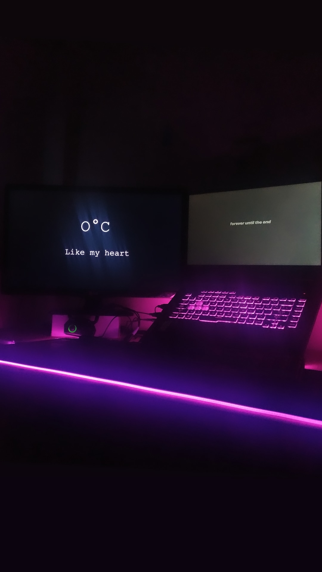 img.jpg
